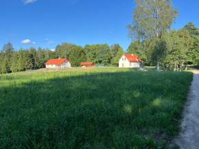 Cichotnia, Nibork